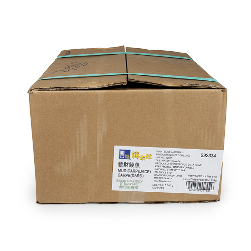 Dace_(Mud_Carp)_H/O_Gutted_IVP_03