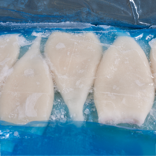 Squid_Tube_Northern_King